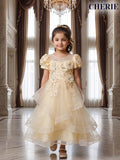 Golden Princess Party Dress